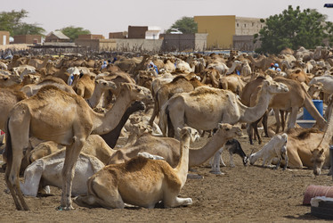 Similar image 21691605