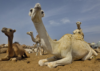 Similar image 21691607