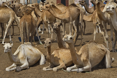 Similar image 21691611