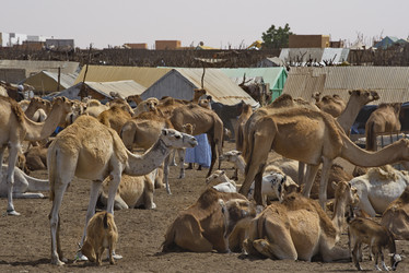 Similar image 21691612