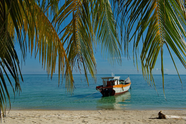 Similar image 21691613