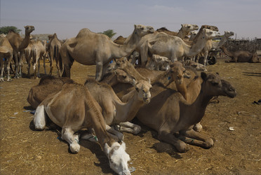 Similar image 21691614