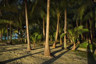 Similar image 21691621