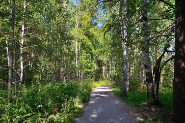 Similar image 21688811