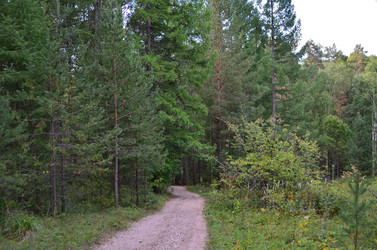 Similar image 21688812