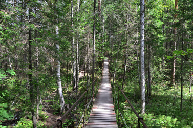 Similar image 21688813