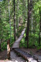 Similar image 21688814