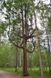 Similar image 21688815