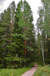 Similar image 21688816