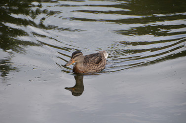 Similar image 21688822