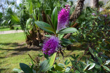 Similar image 21688824