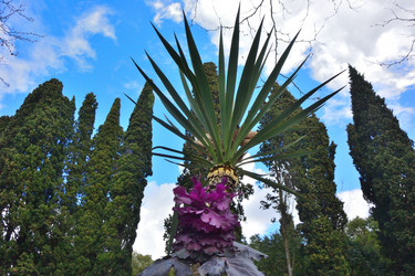 Similar image 21688830