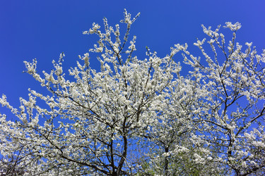 Similar image 21688832