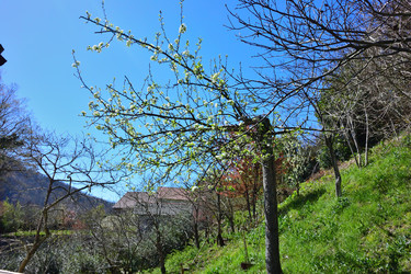 Similar image 21688833