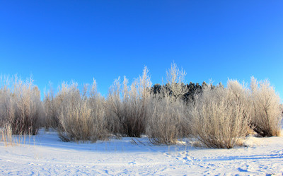 Similar image 21688835