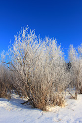 Similar image 21688836