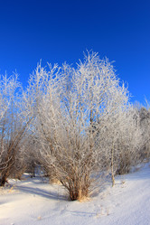 Similar image 21688837