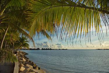 Similar image 21691905