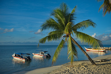 Similar image 21691906