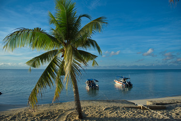 Similar image 21691908