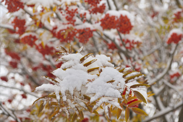 Similar image 21691909