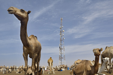 Similar image 21691910