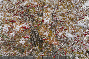 Similar image 21691915