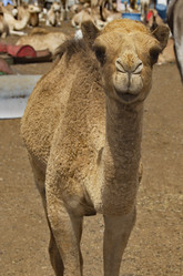 Similar image 21691918