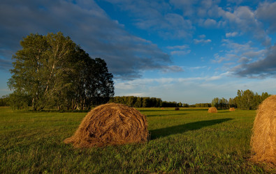 Similar image 21691921