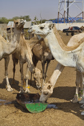 Similar image 21691922