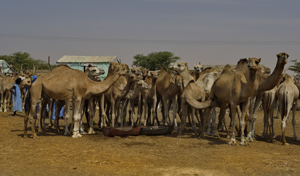 Similar image 21691923