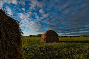 Similar image 21691924