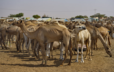 Similar image 21691925