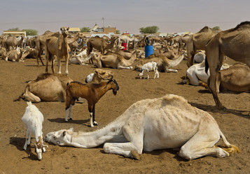 Similar image 21691926