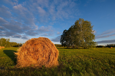 Similar image 21691927