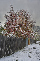 Similar image 21691929