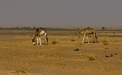 Similar image 21691934