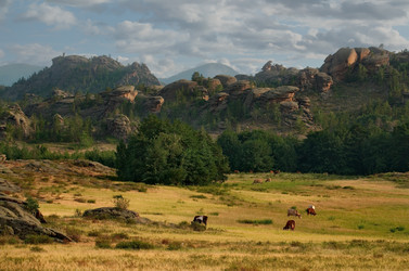 Similar image 21691939