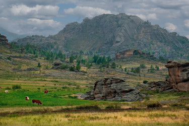 Similar image 21691941