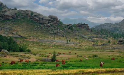 Similar image 21691942