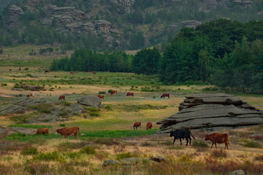 Similar image 21691943