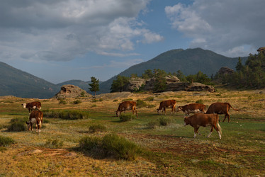 Similar image 21691944