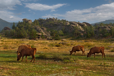 Similar image 21691946