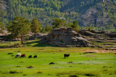 Similar image 21691949