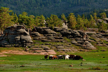 Similar image 21691950