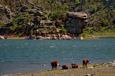 Similar image 21691951