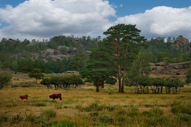 Similar image 21691952