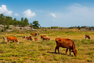 Similar image 21691953