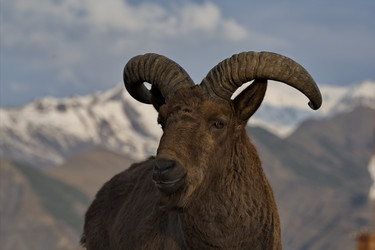 Similar image 21692126