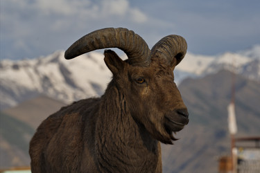 Similar image 21692127